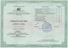 Образец документа по программе: печник